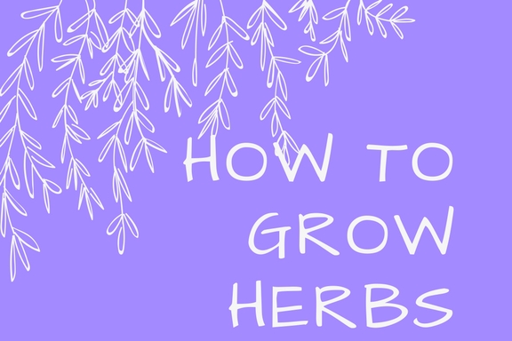 http://joannsfoodbites.com/growing-herbs-at-home/